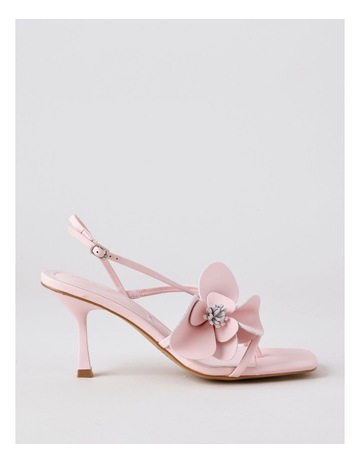 Pink colour