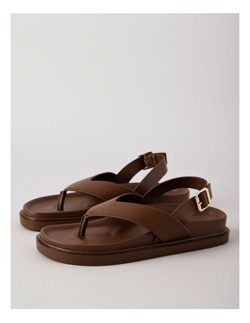 Dark Tan colour