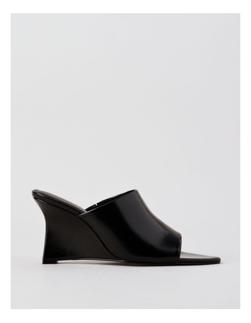 Black colour