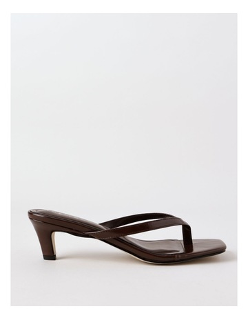 Chocolate colour