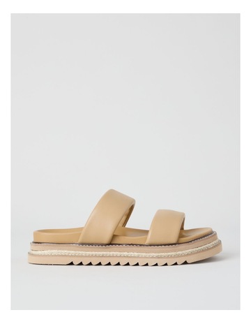 Camel colour