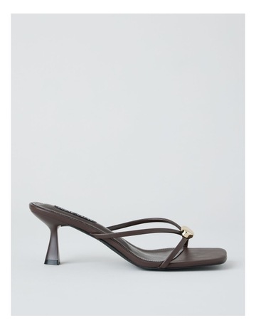 Chocolate colour