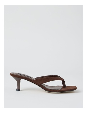 Chocolate colour