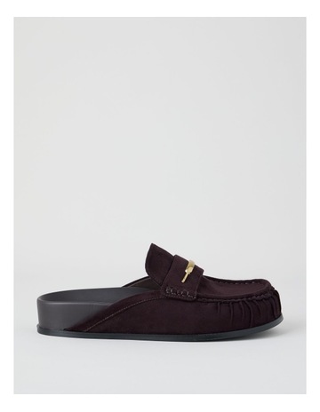 Chocolate colour