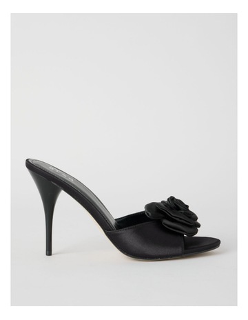 Black colour