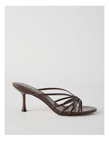 Chocolate colour