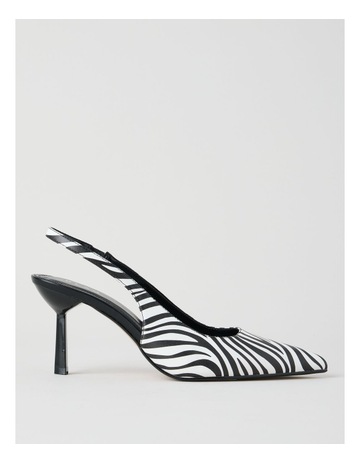 Zebra colour