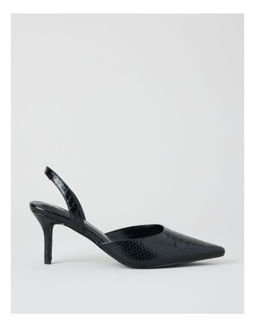 BLACK CROC colour