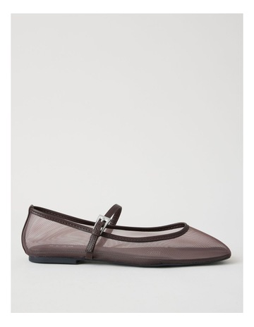 Chocolate Mesh colour