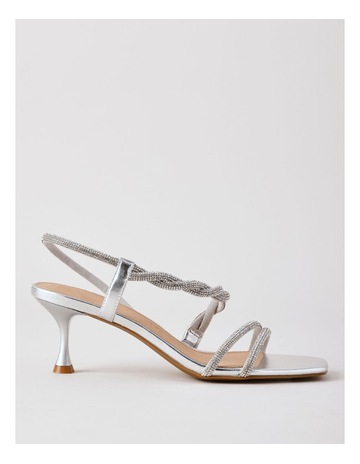 SILVER LEATHER colour
