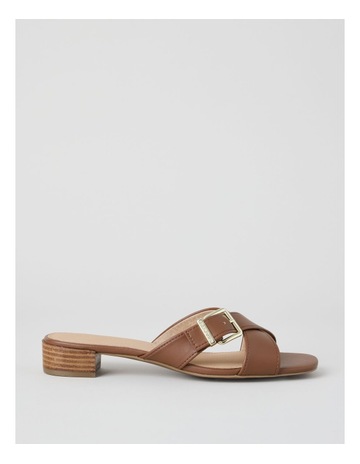 Dark Tan colour