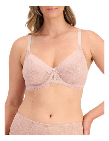 Nude Lace_Ppt colour