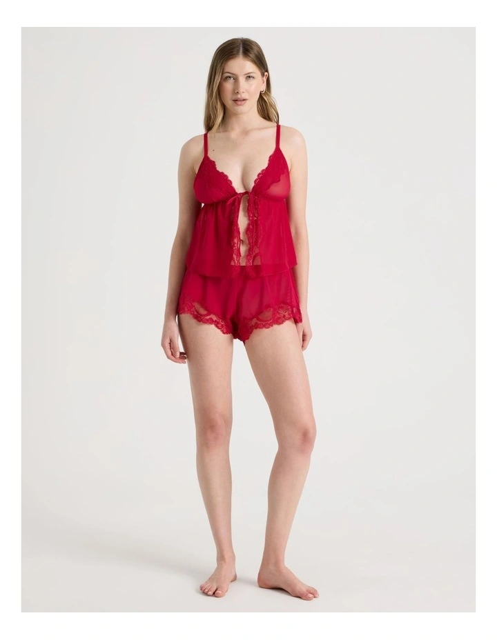 Delicate Lace Mesh & Lace Short in Red image 1