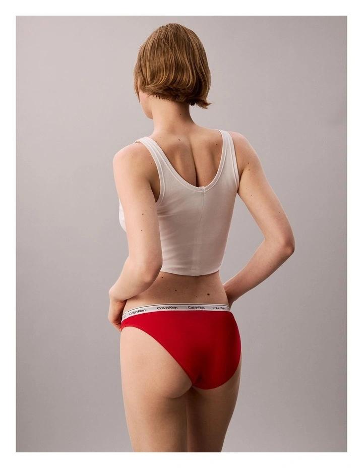 Icon Logo Bikini Briefs in Goji Berry image 2