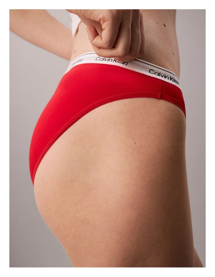 Icon Logo Bikini Briefs in Goji Berry image 3