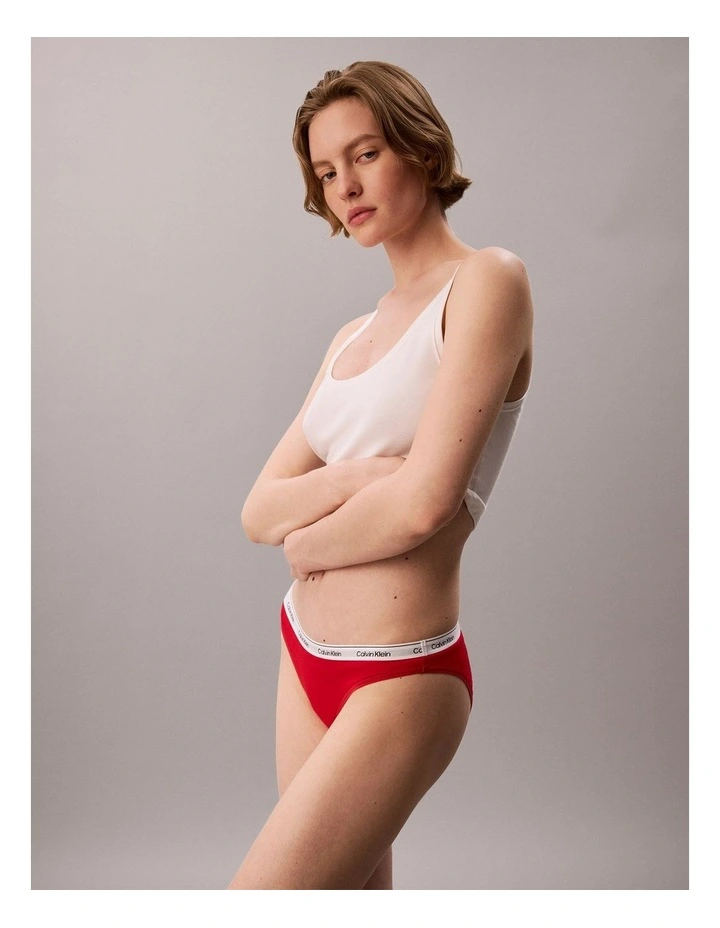 Icon Logo Bikini Briefs in Goji Berry image 5