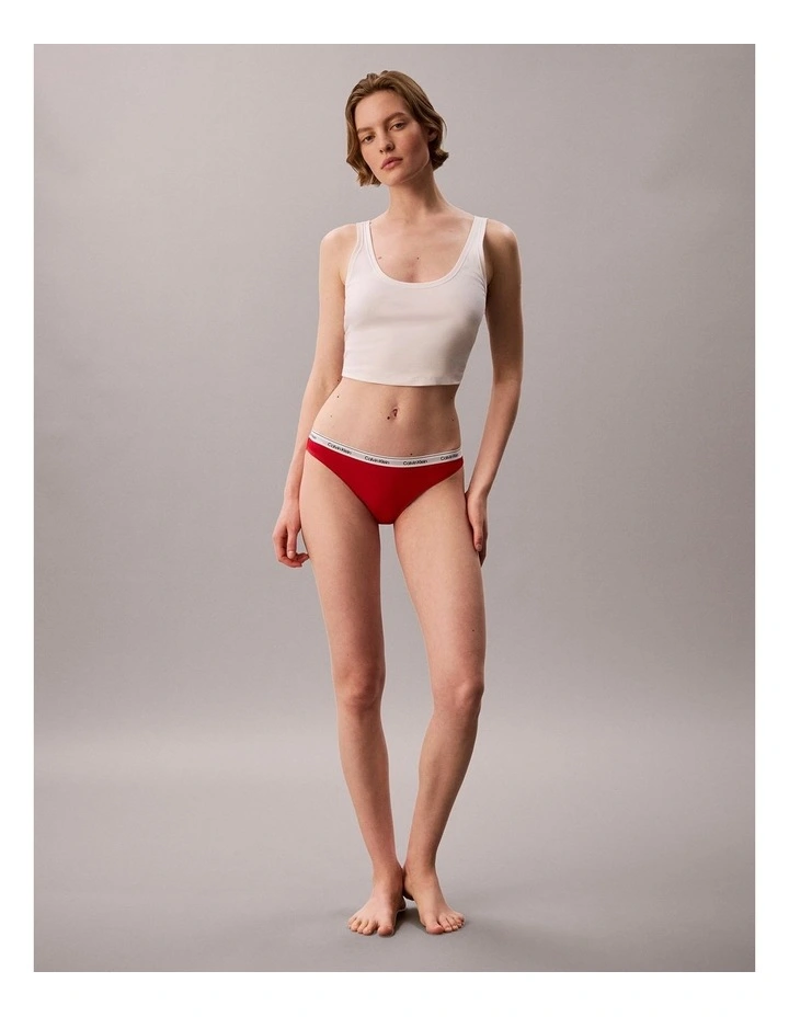 Icon Logo Bikini Briefs in Goji Berry image 6