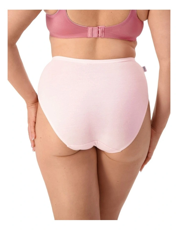 Hikini Brief 2 Pack in Multi image 3