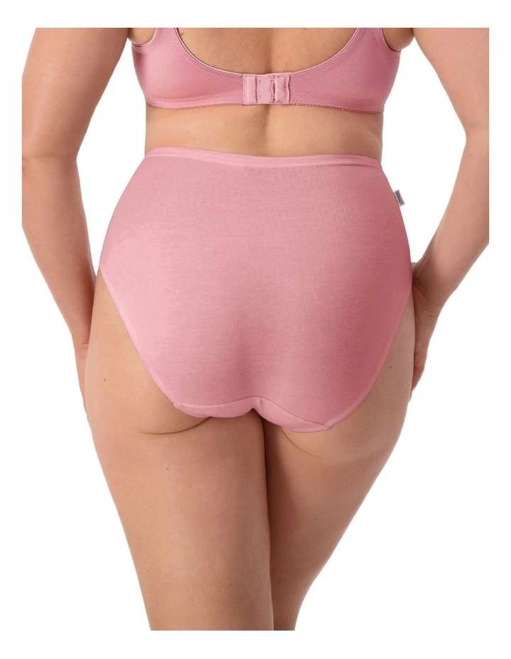 Hikini Brief 2 Pack in Multi image 4