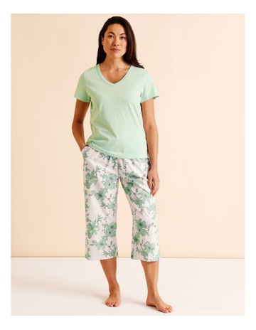 Pistachio Floral Pri colour