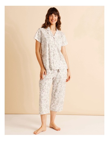 Soft Paisley Print colour