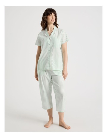 Mint Stripe colour