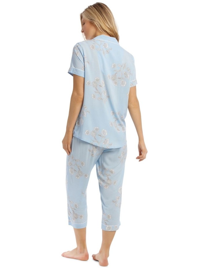 myer chloe lola