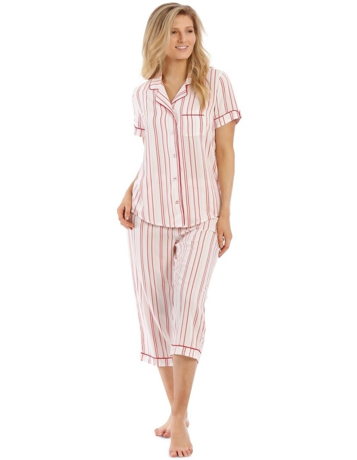 myer chloe lola