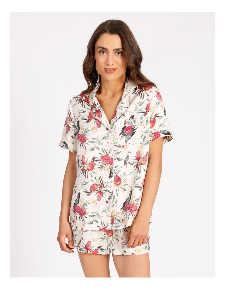 myer chloe lola