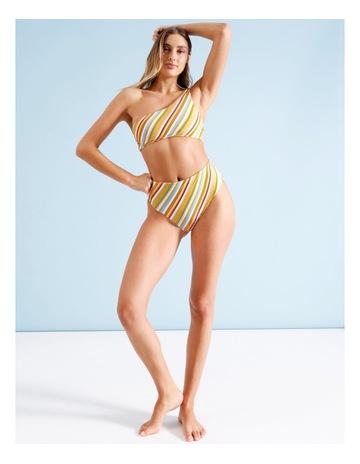 Vibrant Stripe Print colour