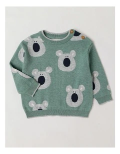 Lexi Koala Jacquard Jumper in Green