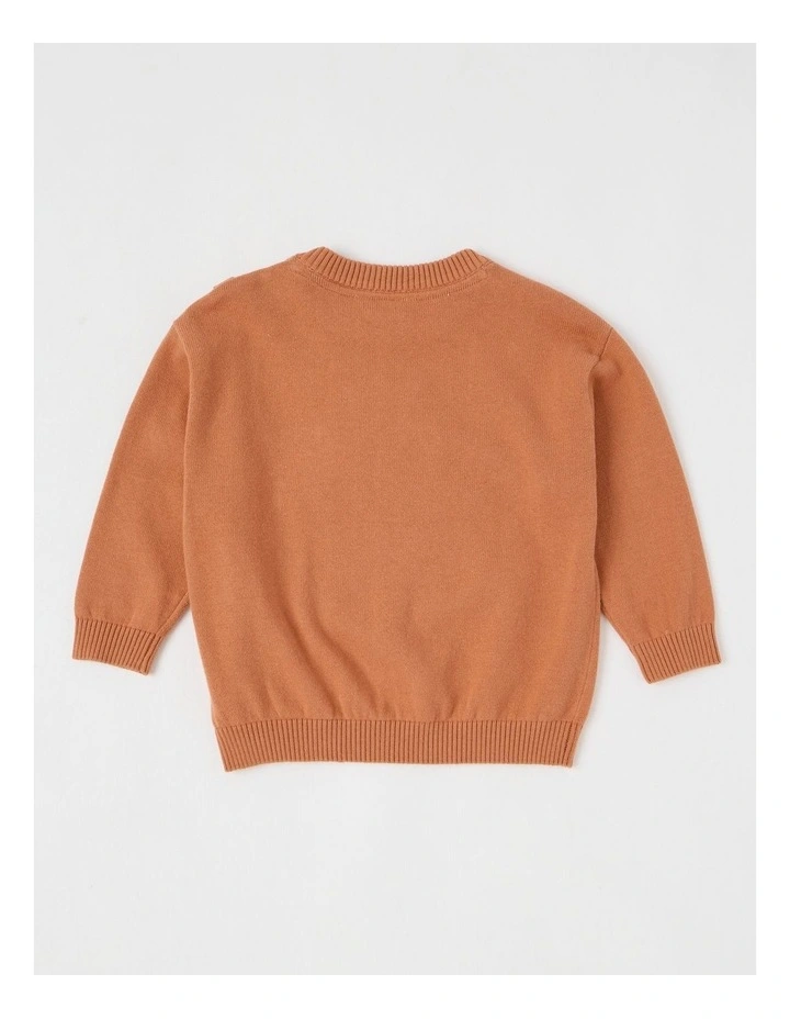 Rex Knitted Jumper with Whale Boucle in Brown image 4