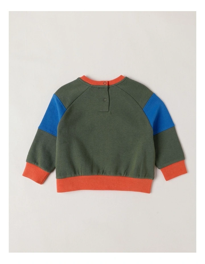 Essentials Bailey Raglan Sleeve Sweat Top with Doggo Boucle in Green image 3