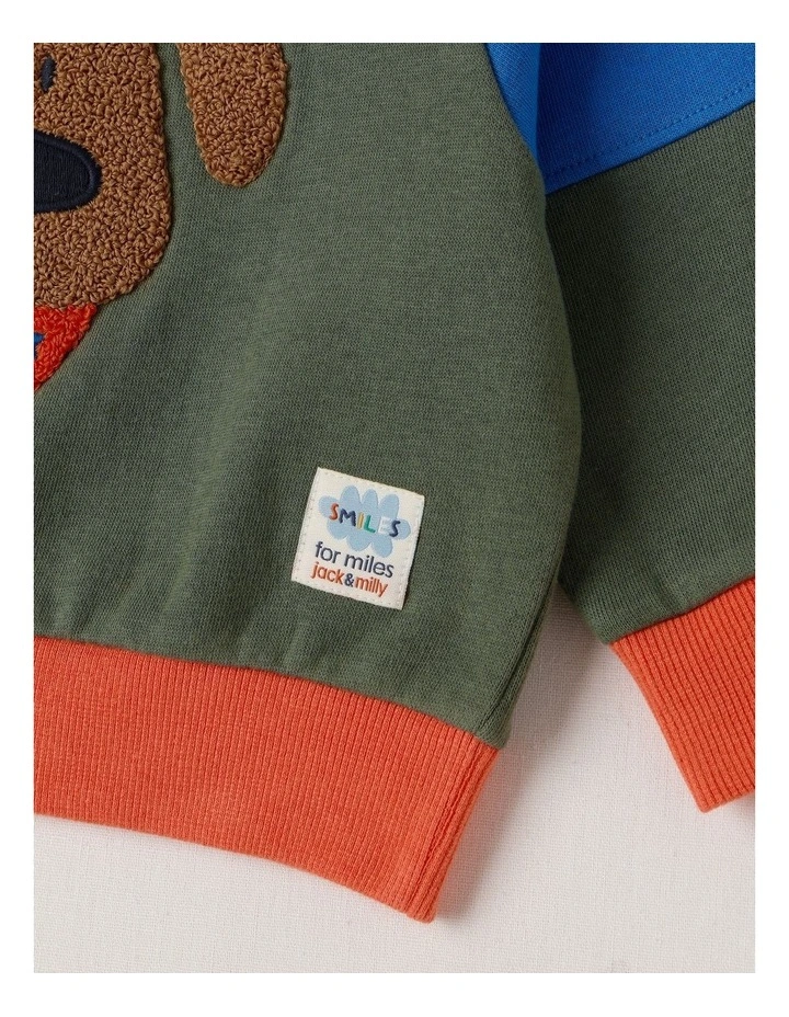 Essentials Bailey Raglan Sleeve Sweat Top with Doggo Boucle in Green image 4