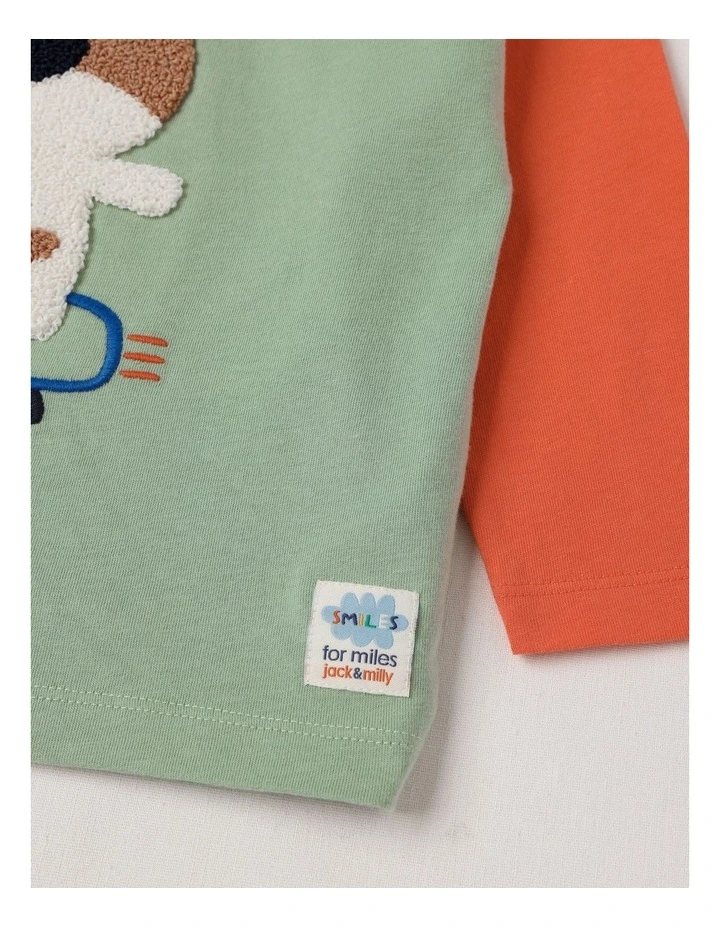 Essentials Arlo Colourblocked Doggo Skater Boucle Tee in Sage image 4