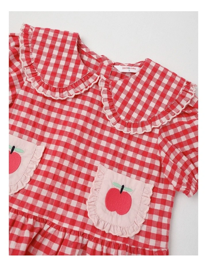 Rita Gingham Top with Apple Embroidery in Pink image 2