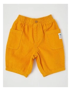 Cam Cord Pant in Mustard