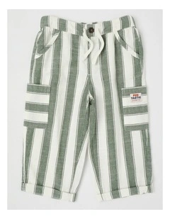 Rex Yarn Dyed Stripe Pant in Sage