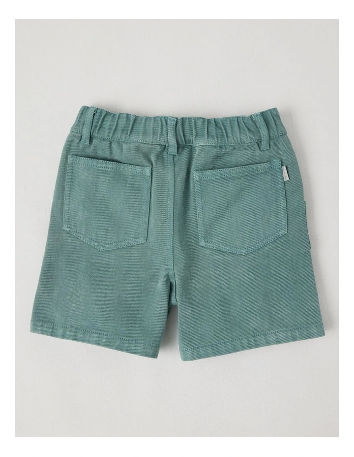 Stan Carpenter Short in Green image 3