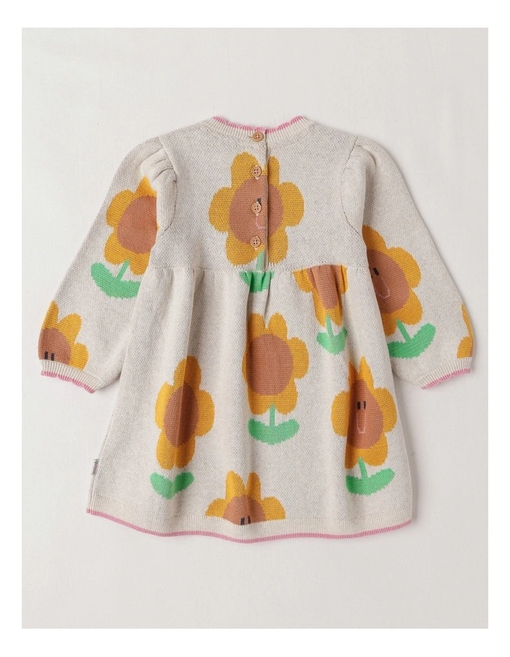 Sunny Double Knit Sunflower Jacquard Dress and Scallop Edges in Oatmeal image 3