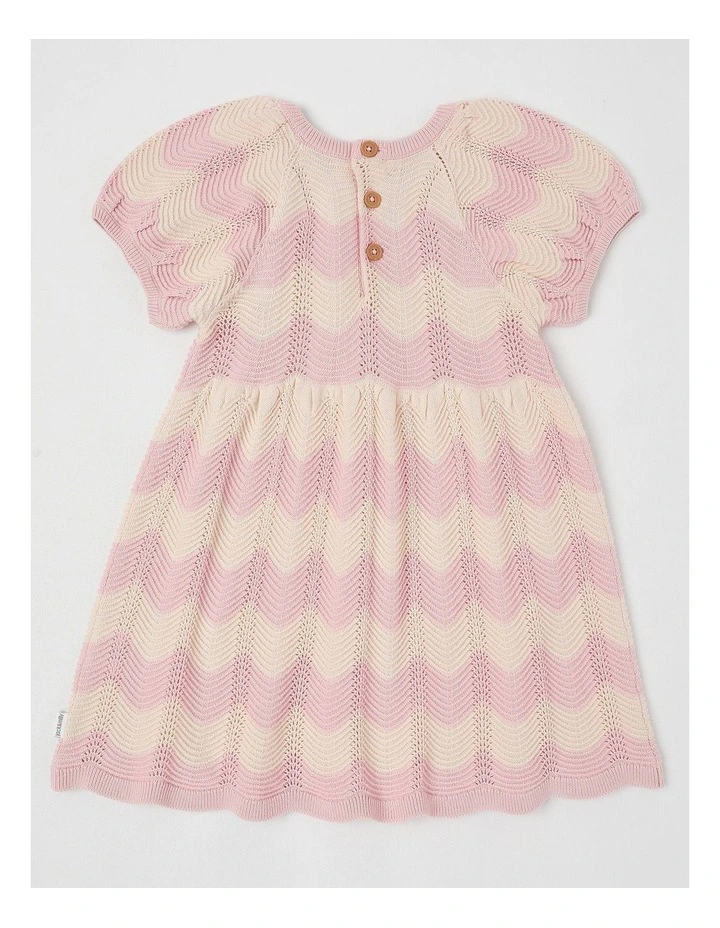 Coral Knitted Pointelle Dress in Pink image 3