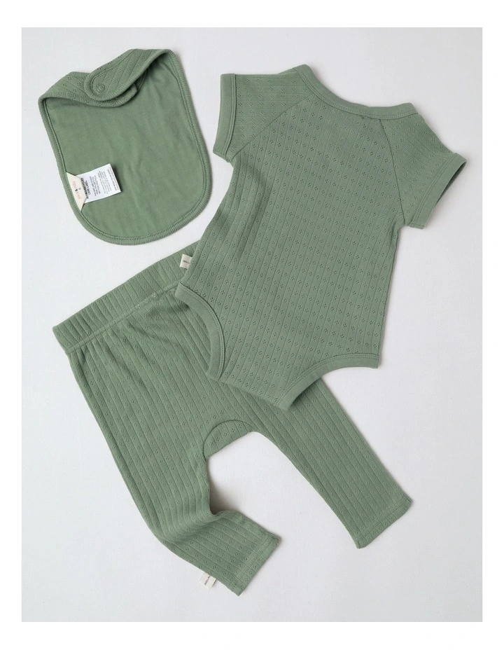 Newborn Baby Embroidered Pointelle Gift Set in Sage image 3