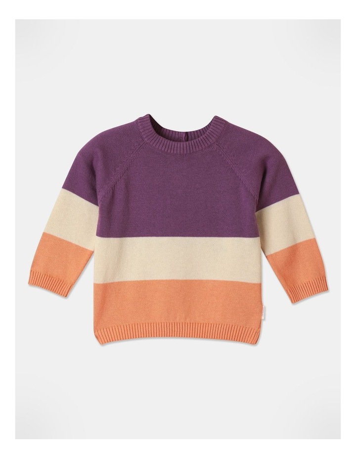 Knit Raglan Colour Block Jumper in Deep Purple Deep Purp