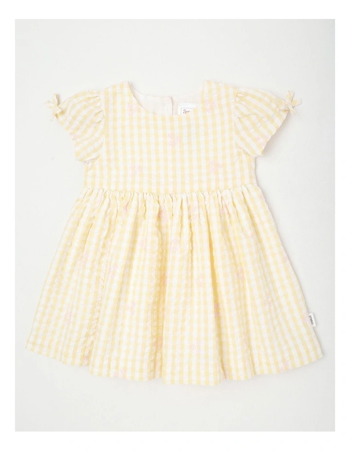 Embroidered Dobby Dress in Yellow image 1