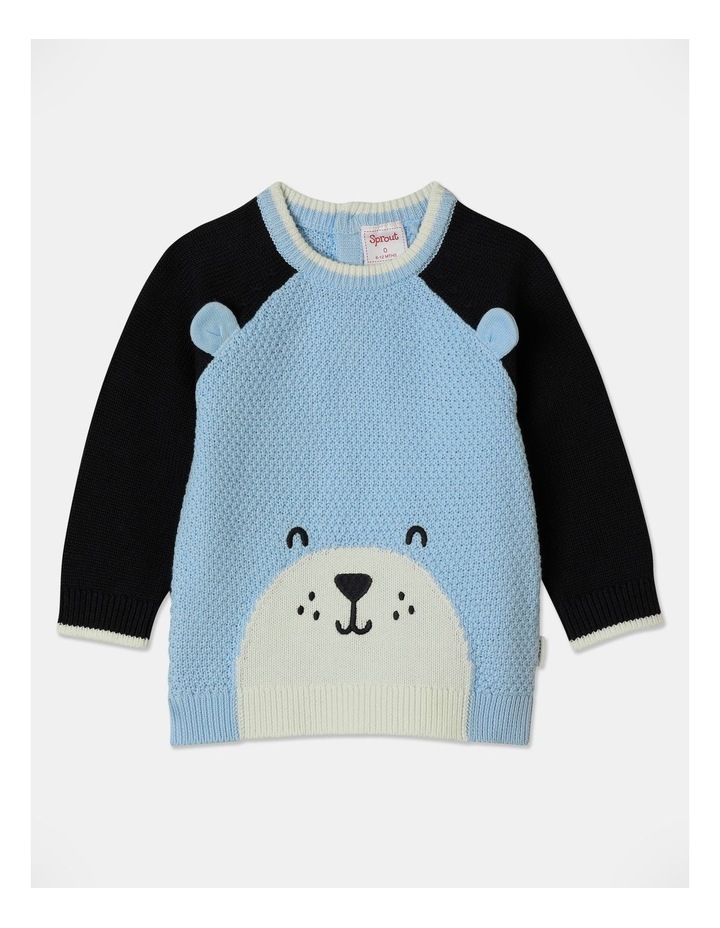 Knit Raglan Crew Novelty Jumper in Blue