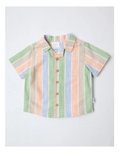 Textured Stripe Shirt in Multi