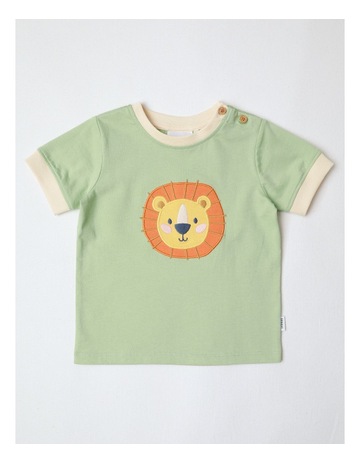 Lt Khaki colour