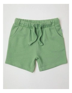 Playtime French Terry Shorts in Sage