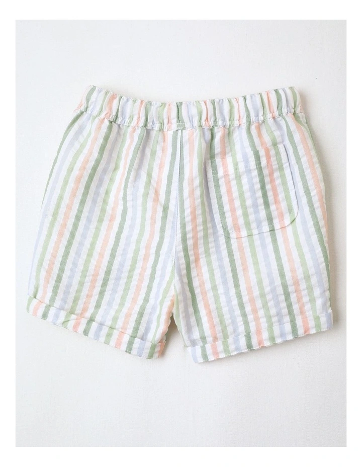 Textured Stripe Short in Multi image 3