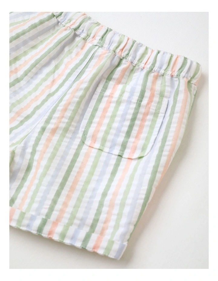 Textured Stripe Short in Multi image 4
